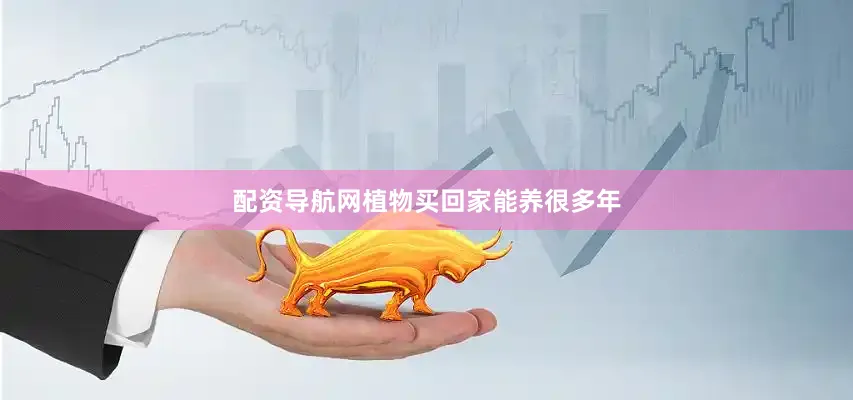 配资导航网植物买回家能养很多年