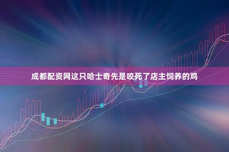 成都配资网这只哈士奇先是咬死了店主饲养的鸡